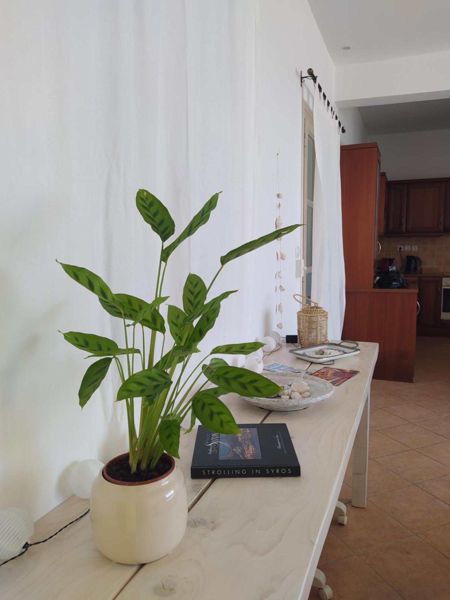 Asia Apartment